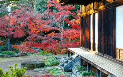 Kitain Temple: Where You Can Still Touch Real Edo Castle History